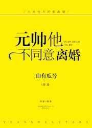 元帅他不同意离婚全文无删减txt