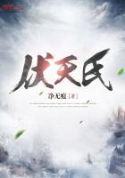 伏天氏叶百川身份