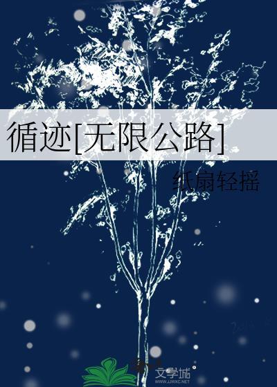 循迹[无限公路]